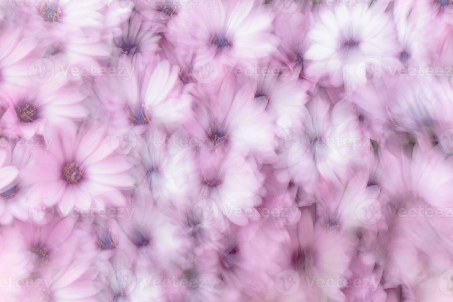 Dreamy background of flowers photo