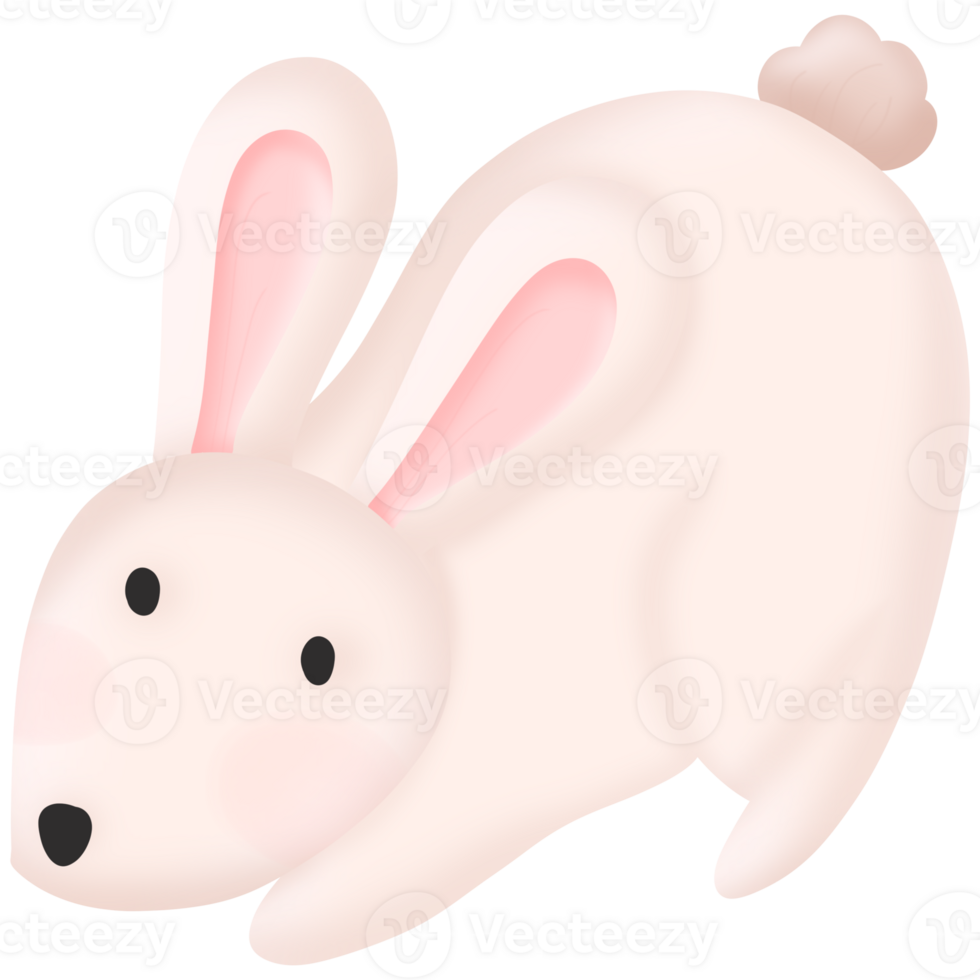 cute bunny easter png
