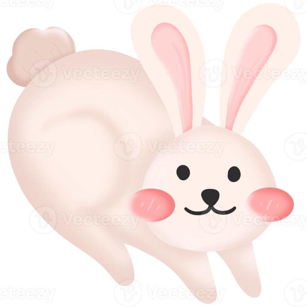 cute bunny easter png
