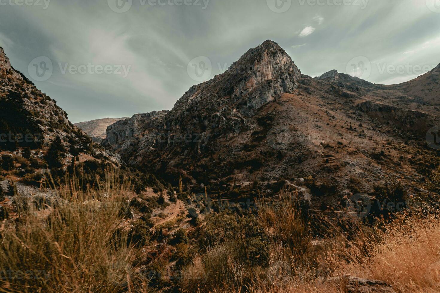 paisaje de montañas hermosas foto