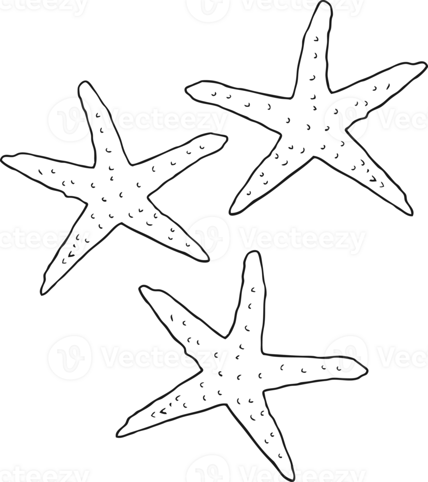 black and white cartoon starfish png