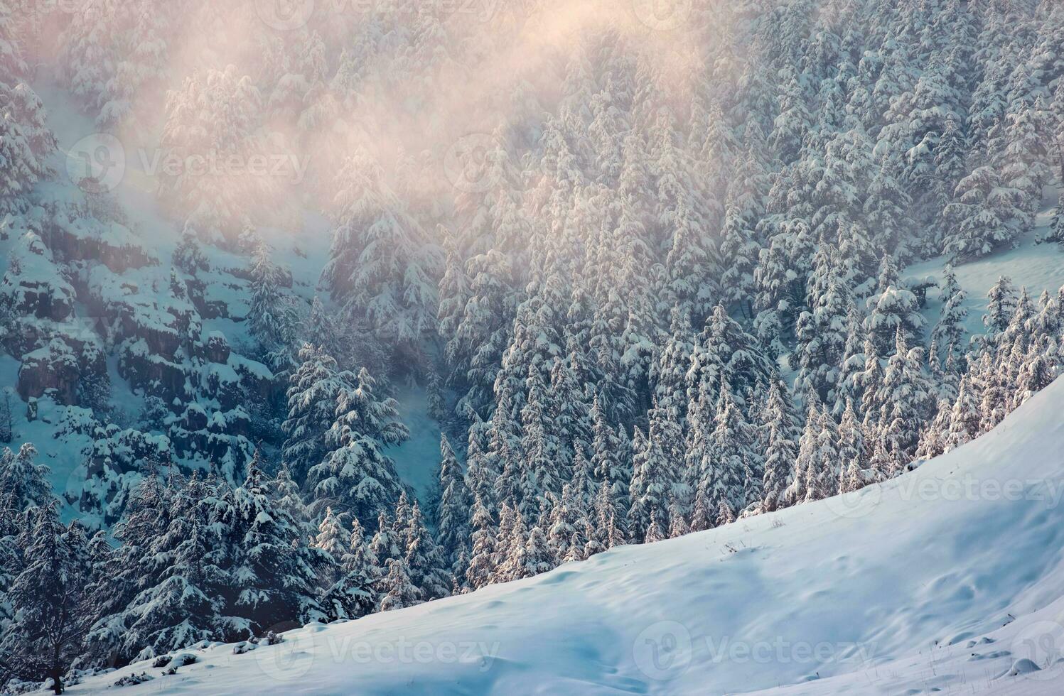 Amazing winter landscape photo