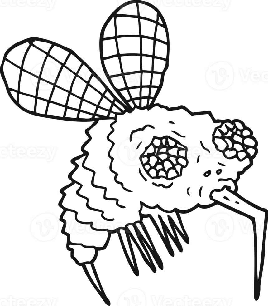black and white cartoon fly png