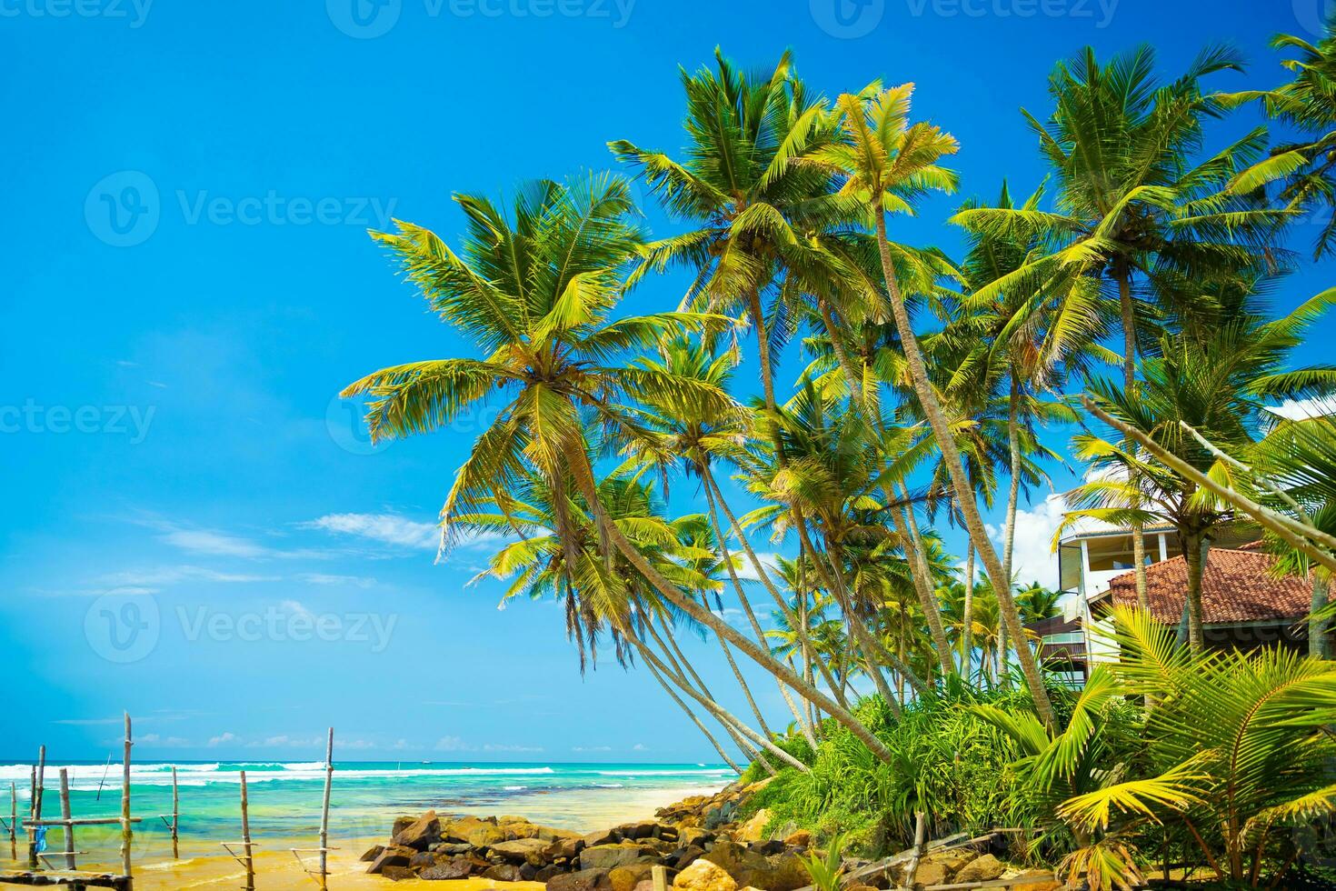 Tropical vacation to Sri Lanka photo