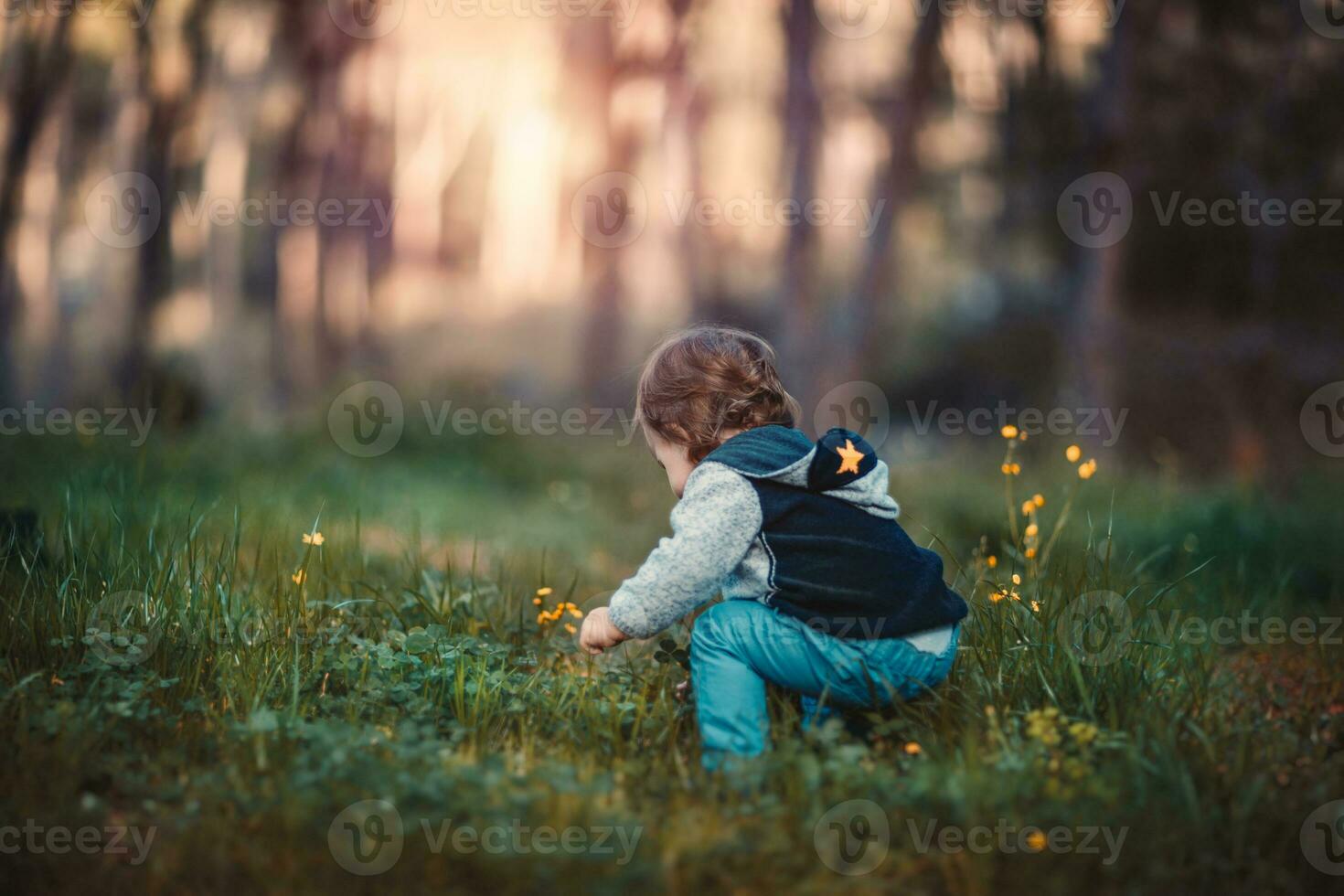 Baby boy plucking flowers photo