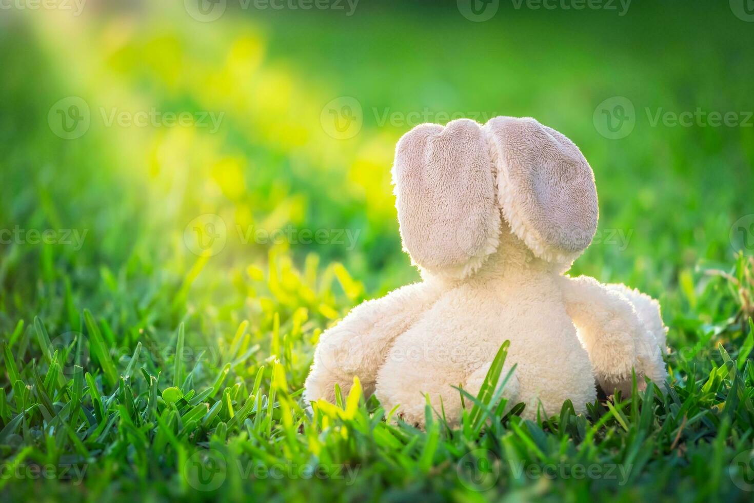 Easter bunny in the grass photo