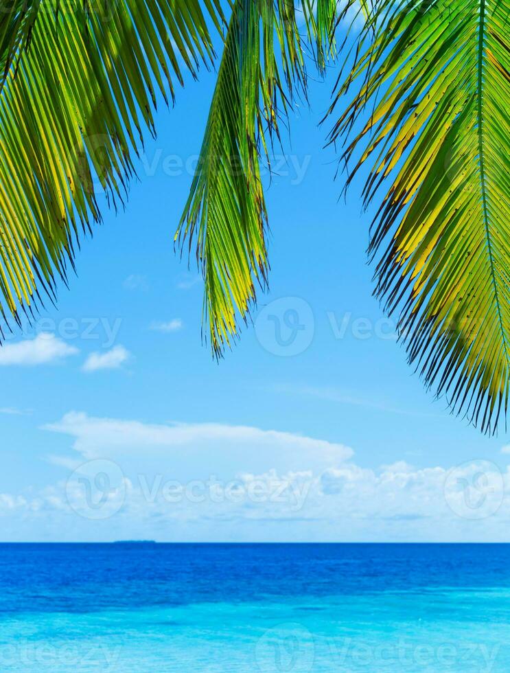 Beautiful tropical landscape photo