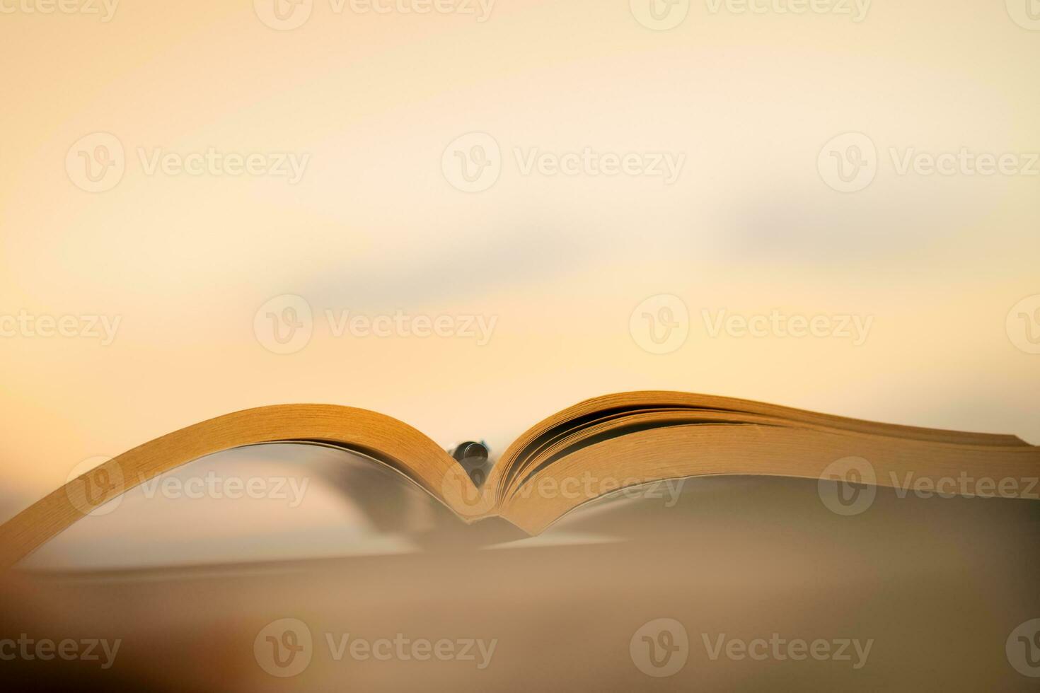 Outdoors Evening with a Book photo