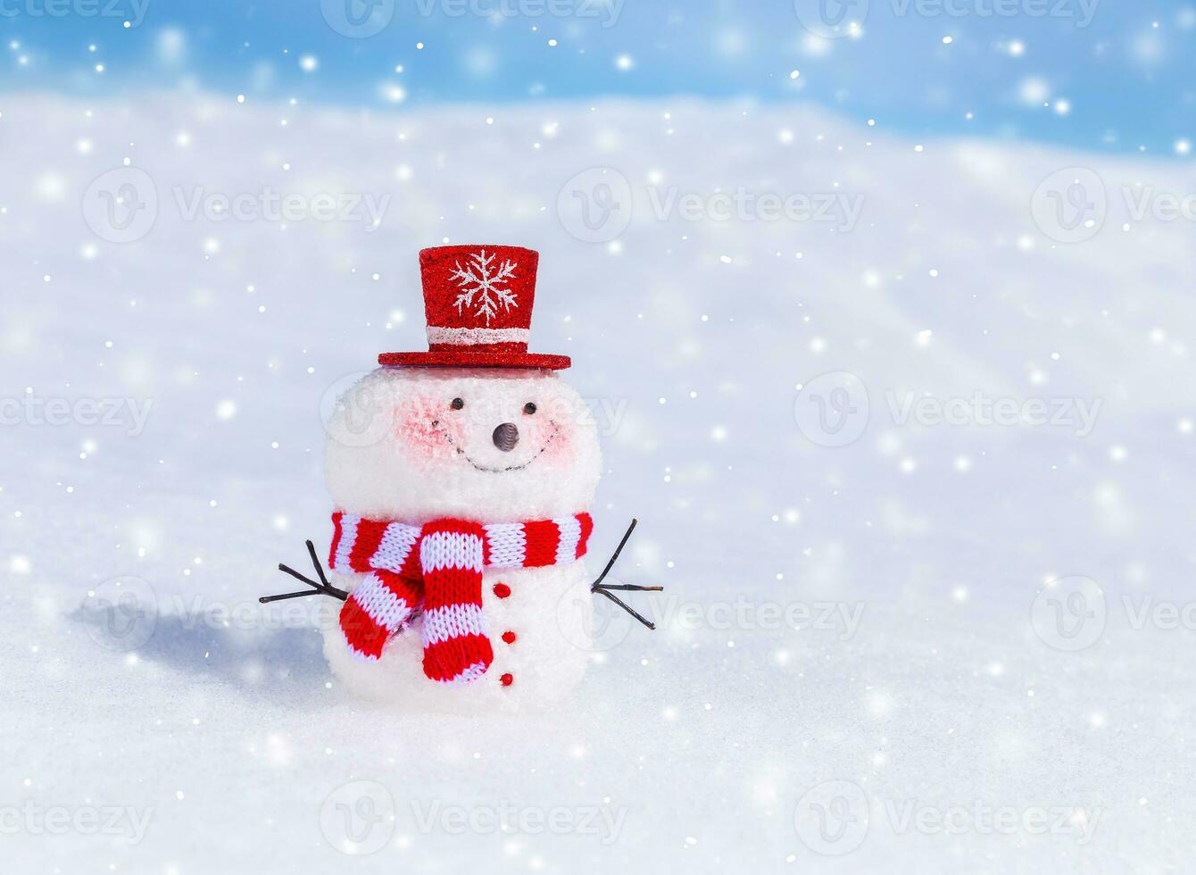 Cute snowman outdoors photo