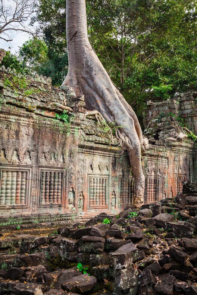 Preah Khan temple, Angkor area, Siem Reap, Cambodia photo