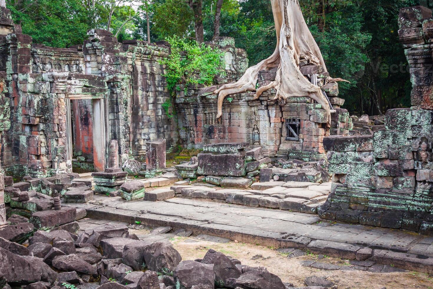 preah kan templo, angkor área, siem recoger, Camboya foto