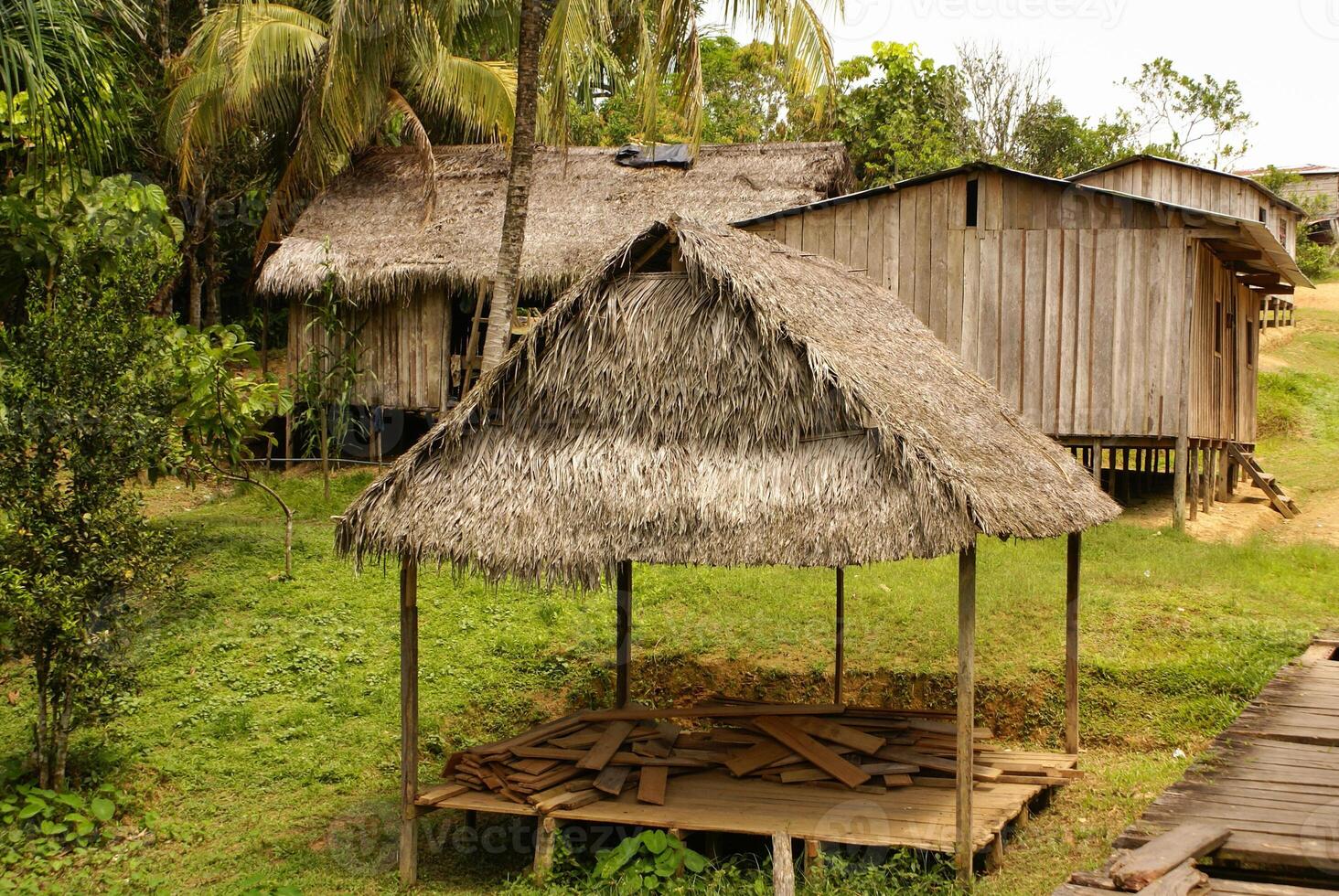 Peru, Peruvian Amazonas landscape. The photo present typical indian tribes settlement in Amazon