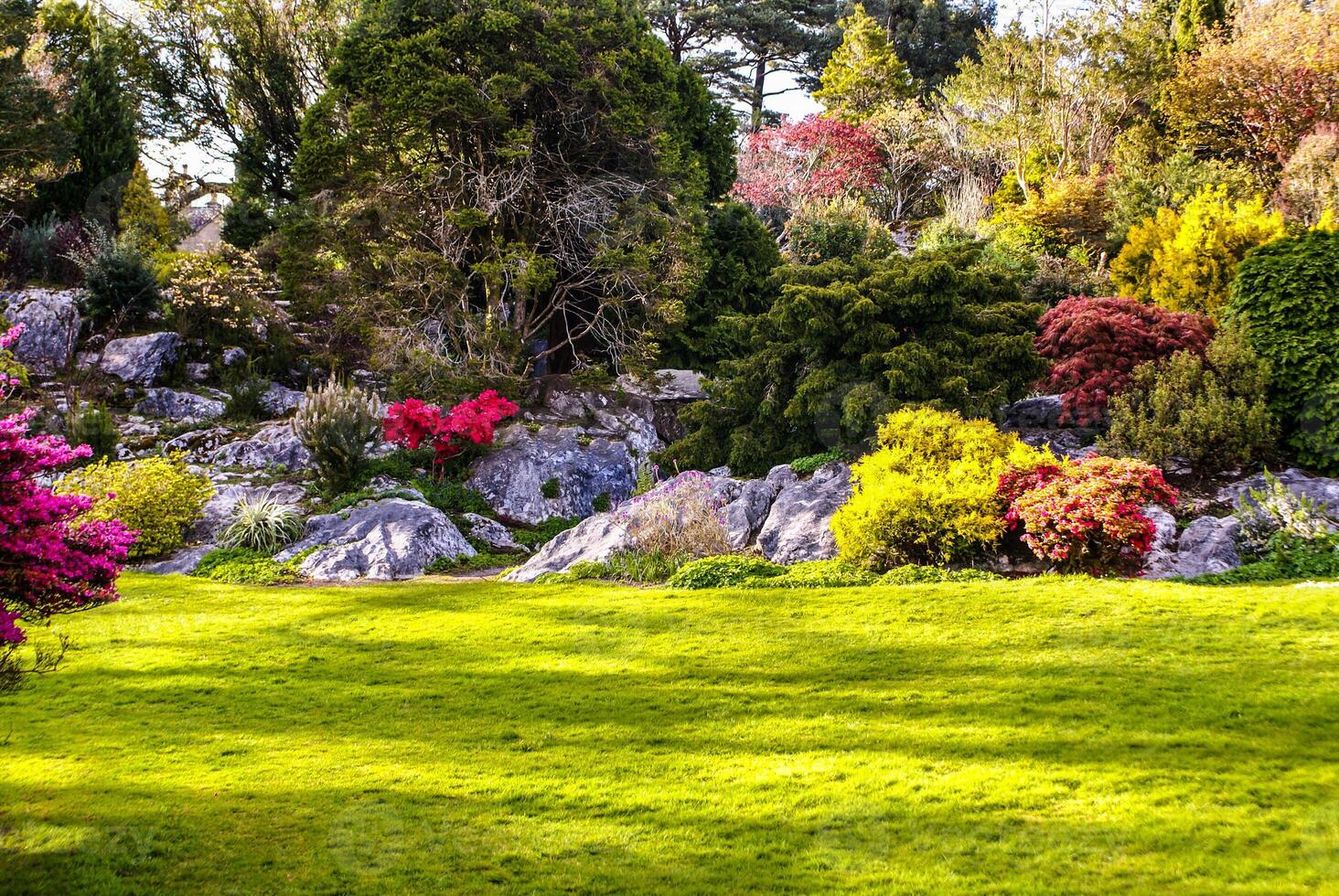 Gardens Muckross Killarney National Park, Ireland photo