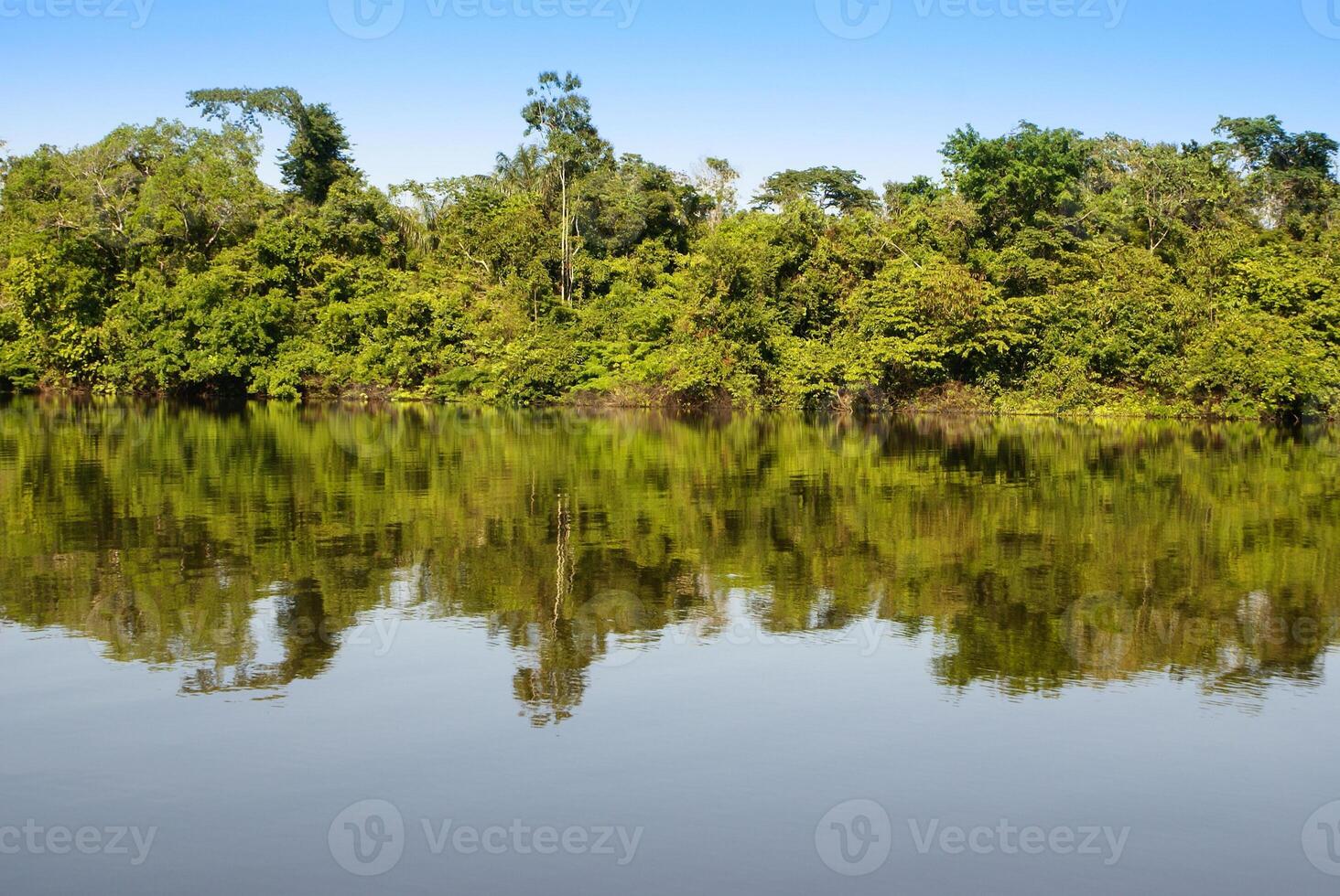 un río y hermosa arboles en un selva Perú foto
