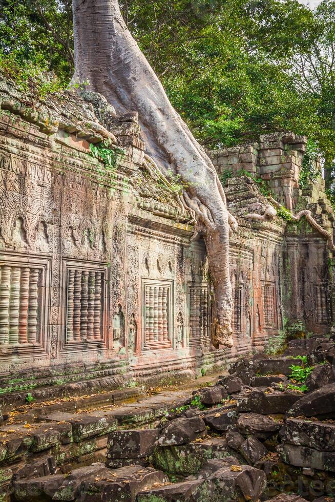 preah kan templo, angkor área, siem recoger, Camboya foto