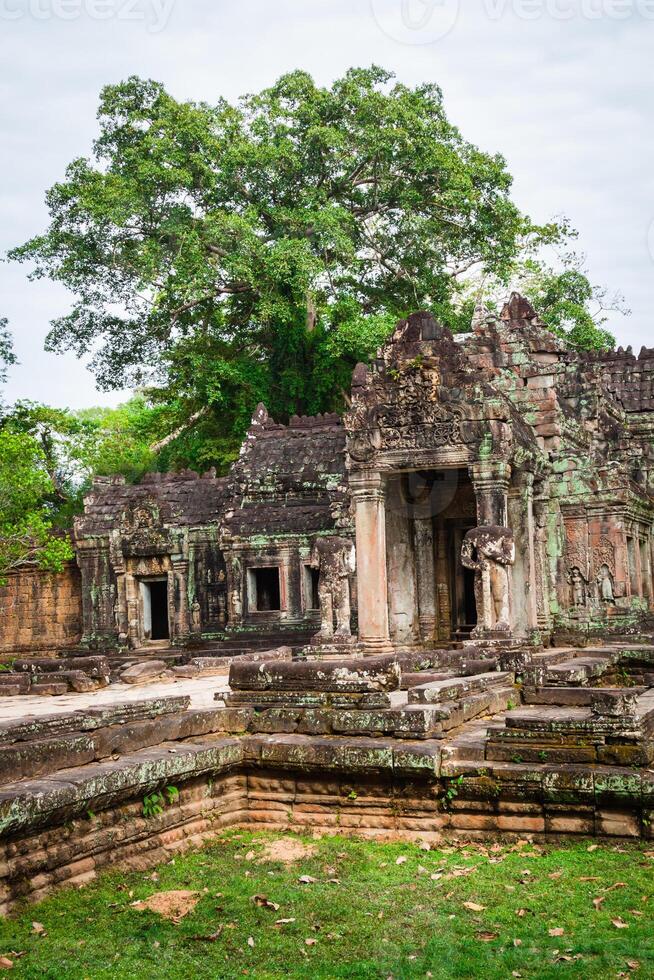 Ruins of Pra Khan Temple in Angkor Thom of Cambodia photo