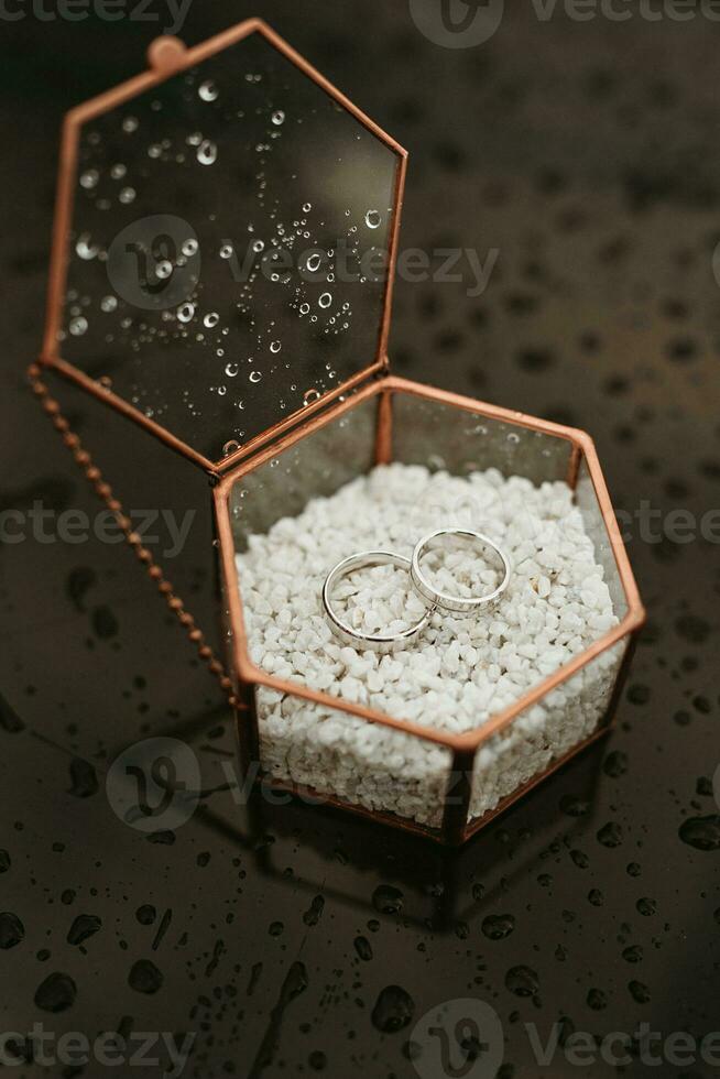 wedding rings in a glass box photo