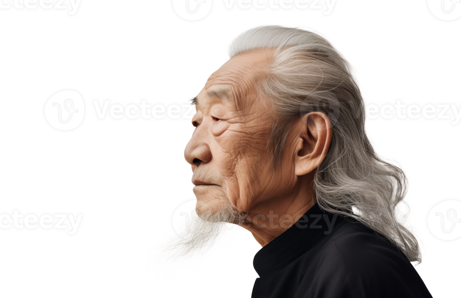 AI generated Senior Asian Man in Stylish Business Attire png
