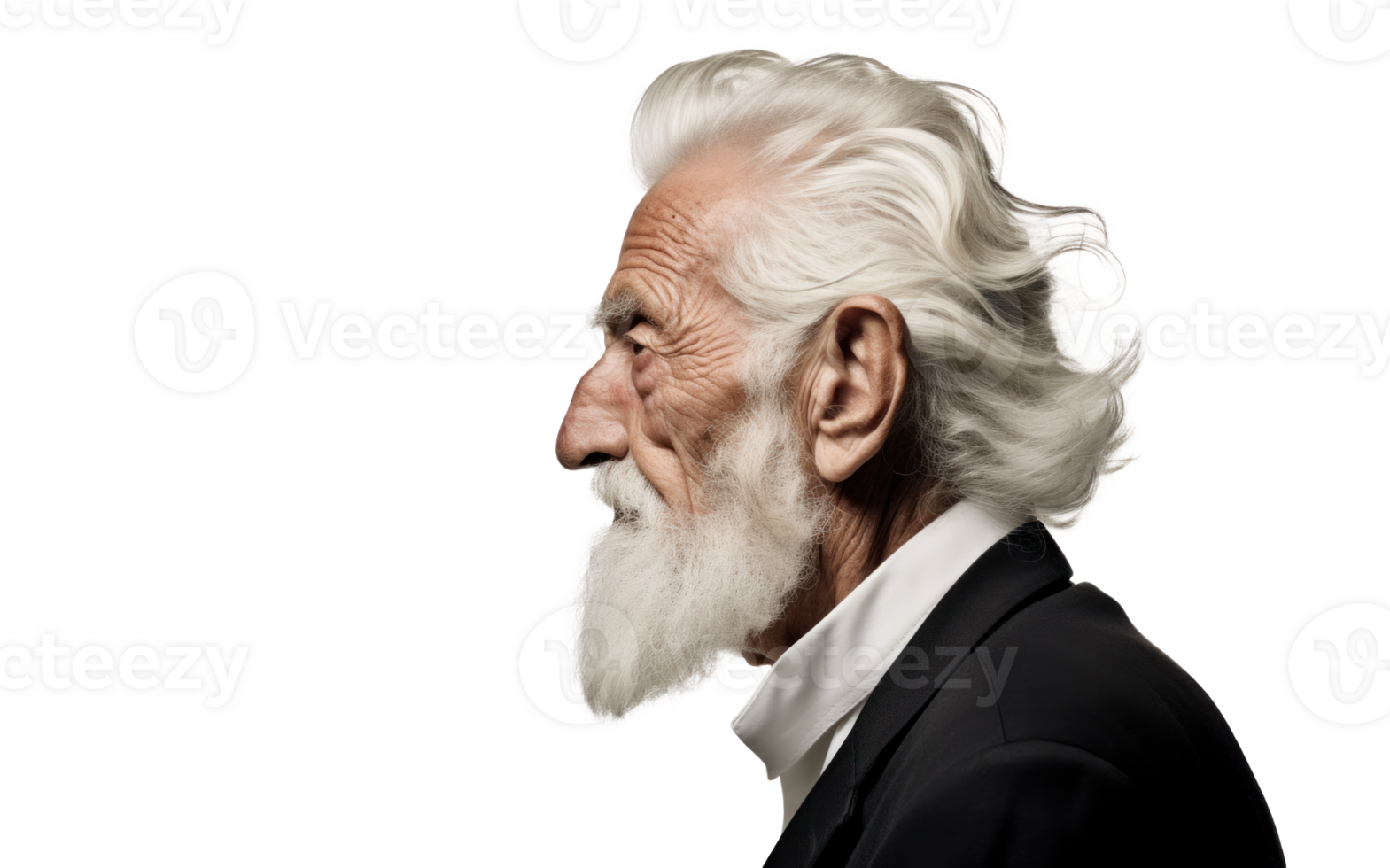 AI generated Senior Businessman Portrait on Isolated Background png