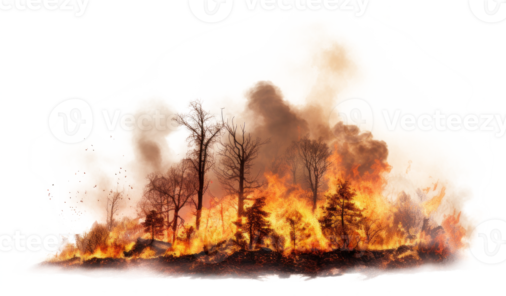 AI generated Forest Fire Natural Disaster Isolated on Transparent png