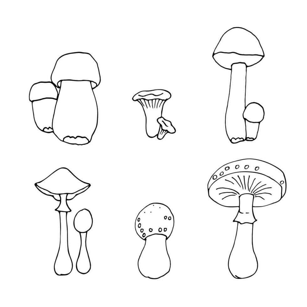 Set of vector drawings of mushrooms in cartoon style on a white background, drawn by hand