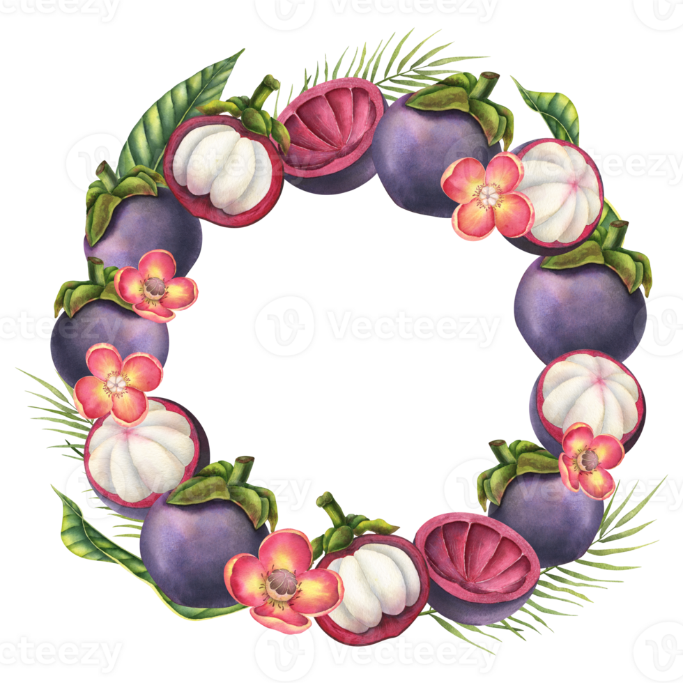 Mangosteen watercolor round Frame. Hand drawn illustration of Wreath with exotic tropical Fruit for template on isolated background. Drawing of Border with asian food, flowers and palm leaves png