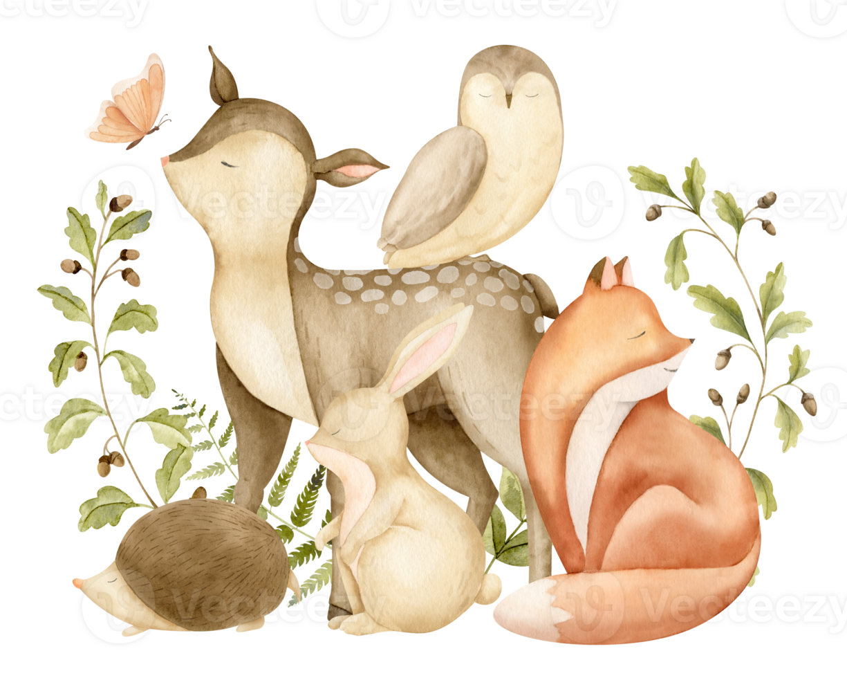 Baby forest Animals for Baby shower greeting cards or newborn invitations. Hand drawn watercolor illustration with cute deer, fox, bunny and owl for childish design. Character for nursery poster png