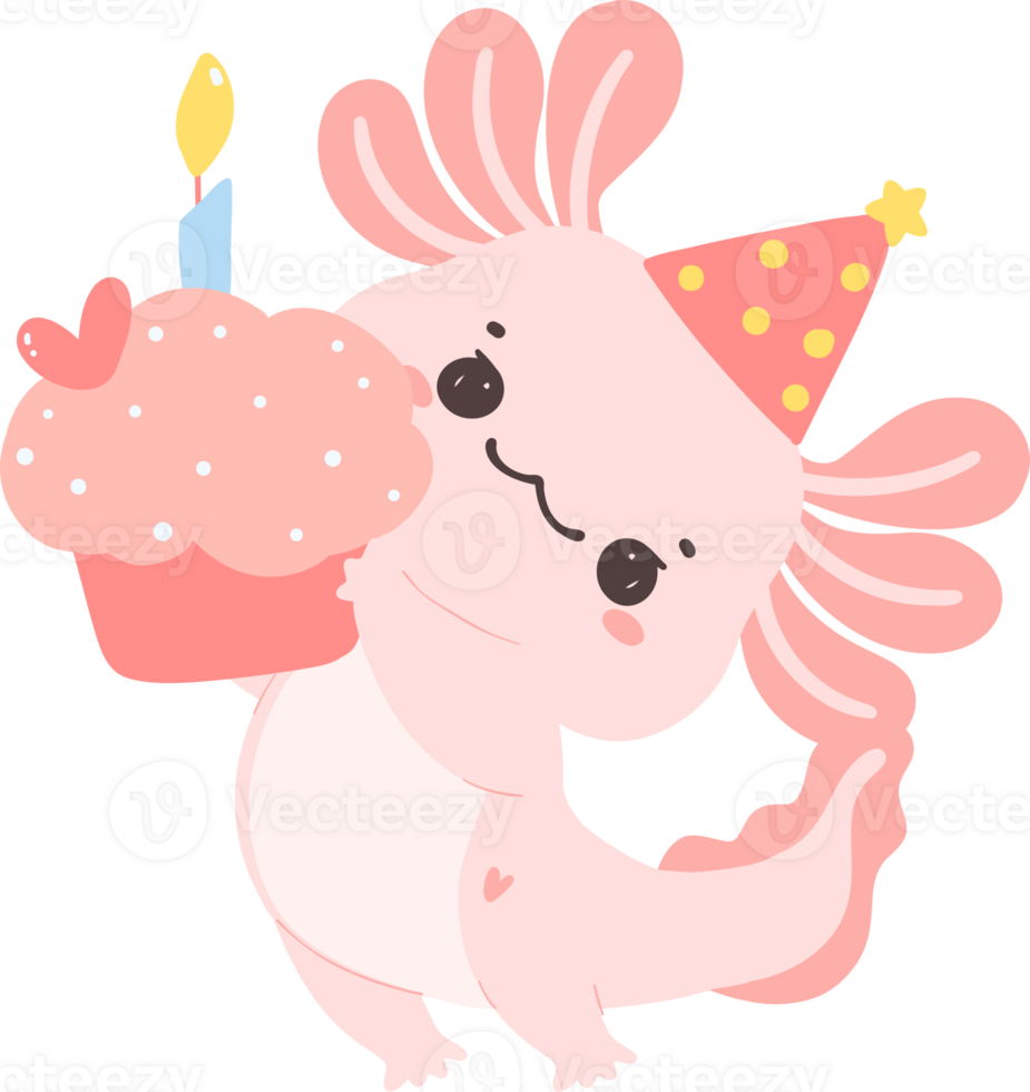 Cute Axolotl birthday flat design cartoon hand drawing png