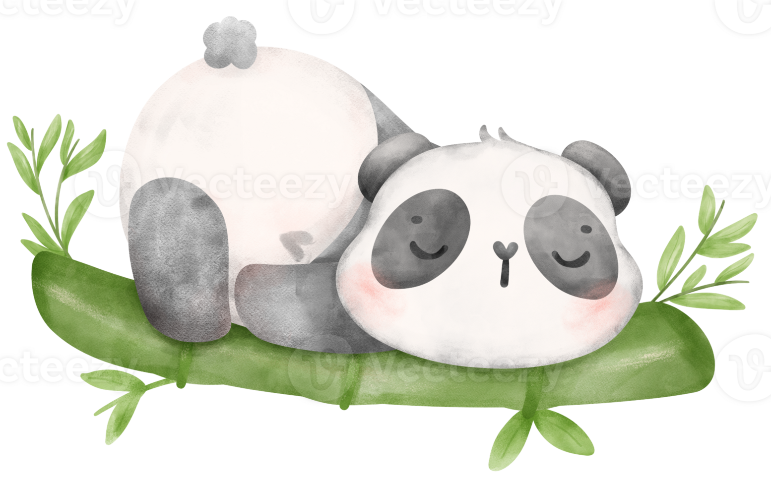 Baby Panda with bamboo watercolor, baby shower nursery animal illustration png