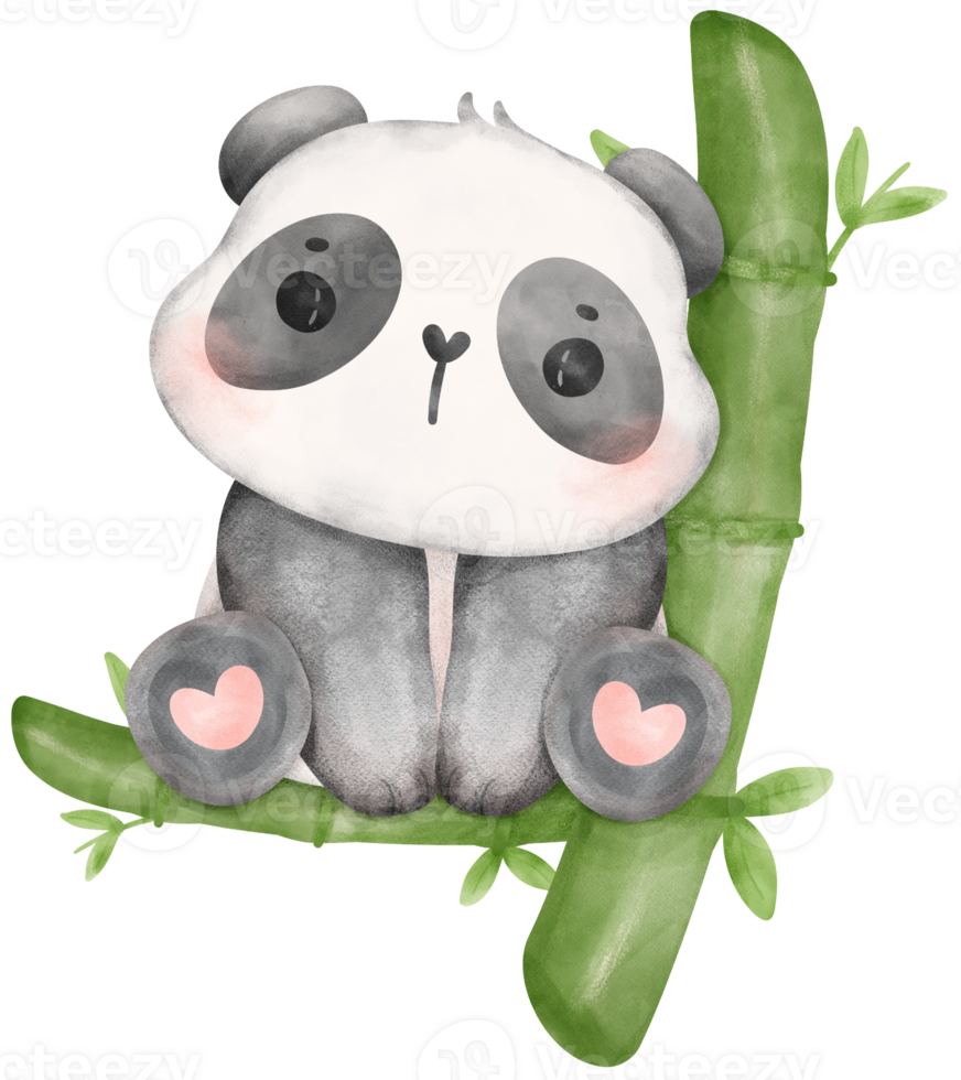 Baby Panda with bamboo watercolor, baby shower nursery animal illustration png