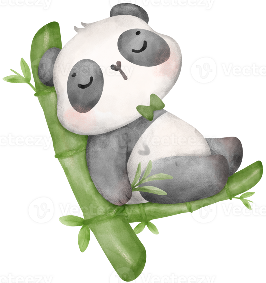 Baby Panda with bamboo watercolor, baby shower nursery animal illustration png