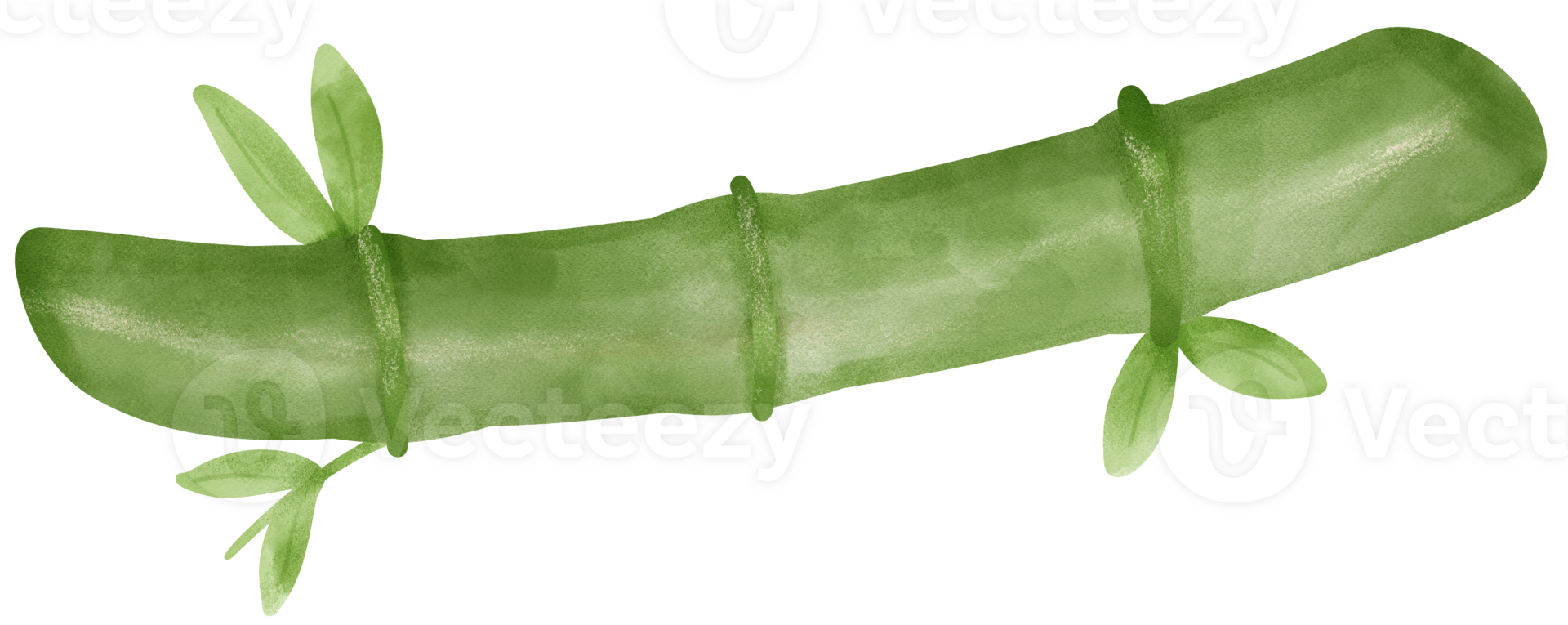 Bamboo stick watercolor png