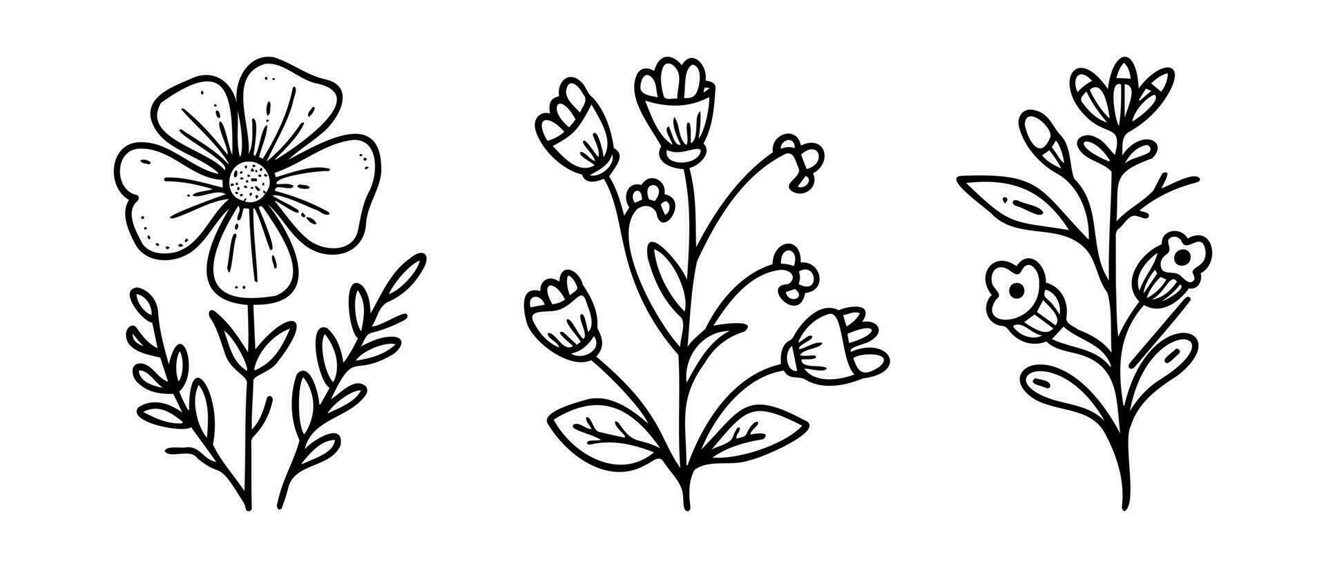 elementos florales de diseño vectorial dibujado a mano vector