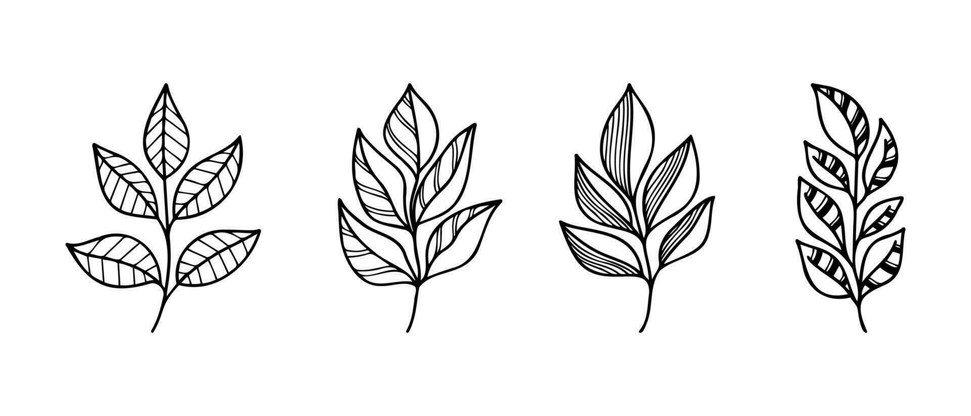 Hand drawn vector design floral elements