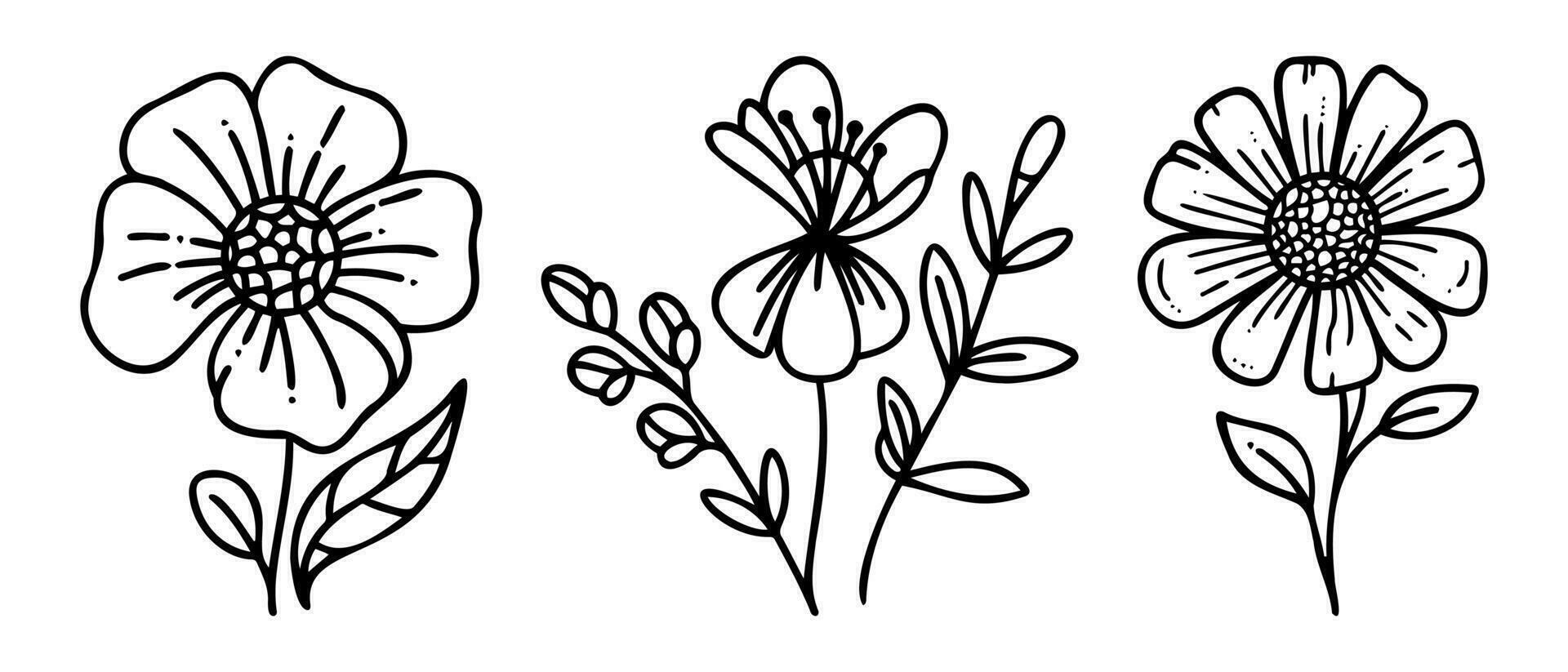 elementos florales de diseño vectorial dibujado a mano vector