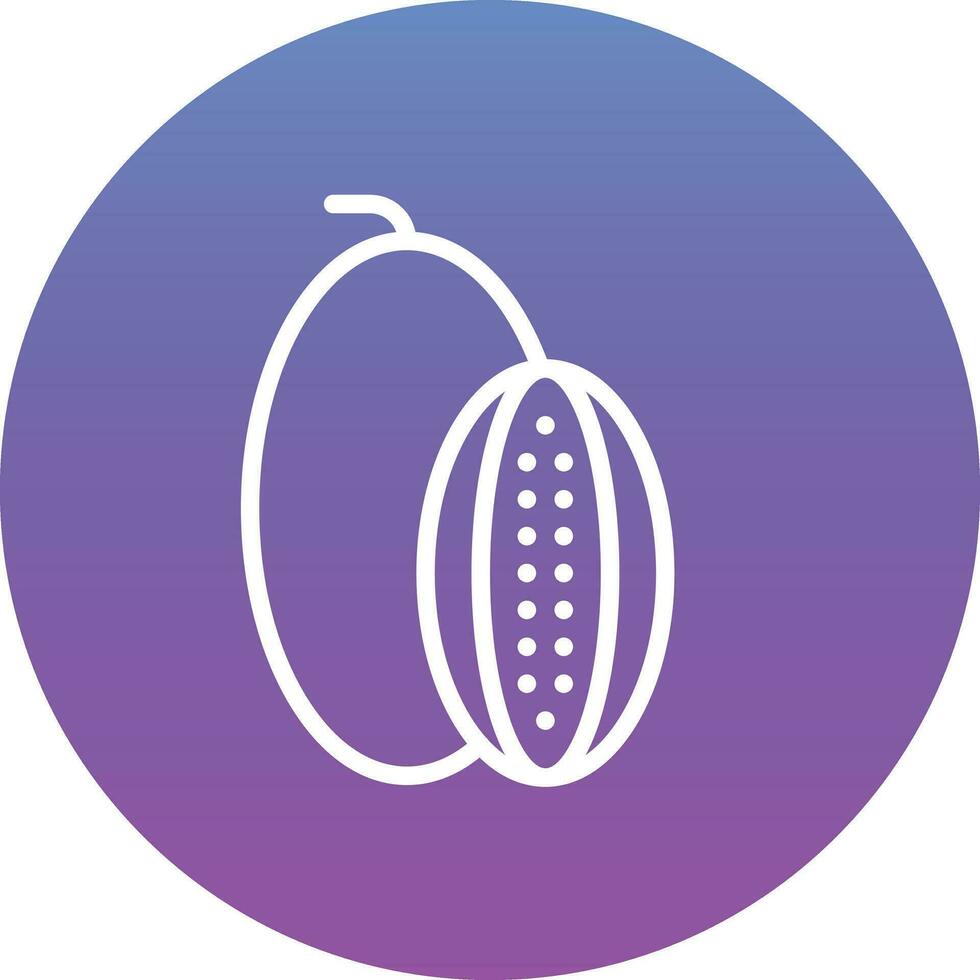 Rockmelon Vector Icon