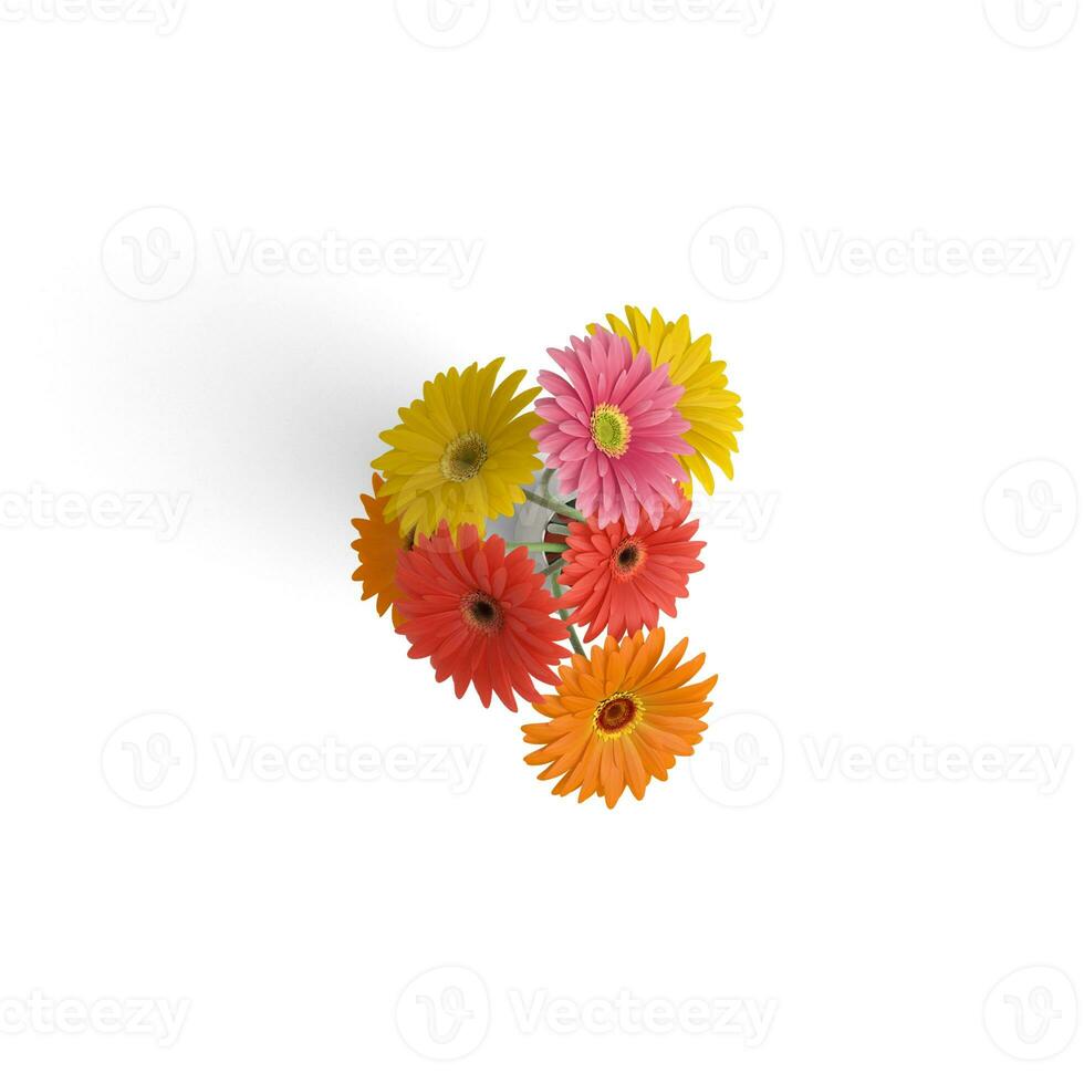 Gerbera Bouquet Mixed Blossoming Beauty Capturing Flowering Plants isolated on white background photo