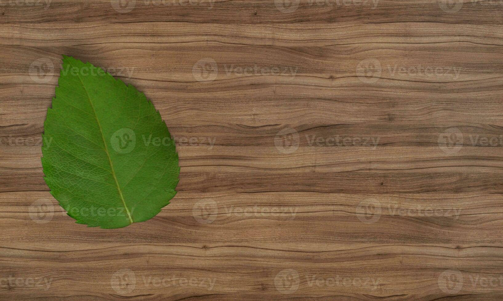 Cypress Charm Wooden Texture Wallpaper photo