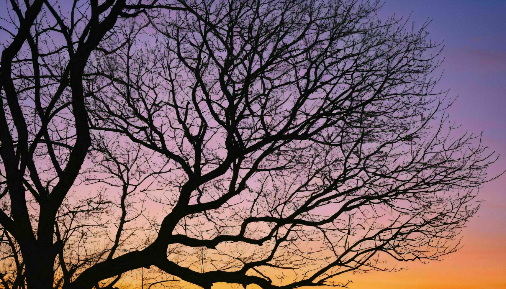 ai generado árbol silueta en contra púrpura cielo a puesta de sol foto
