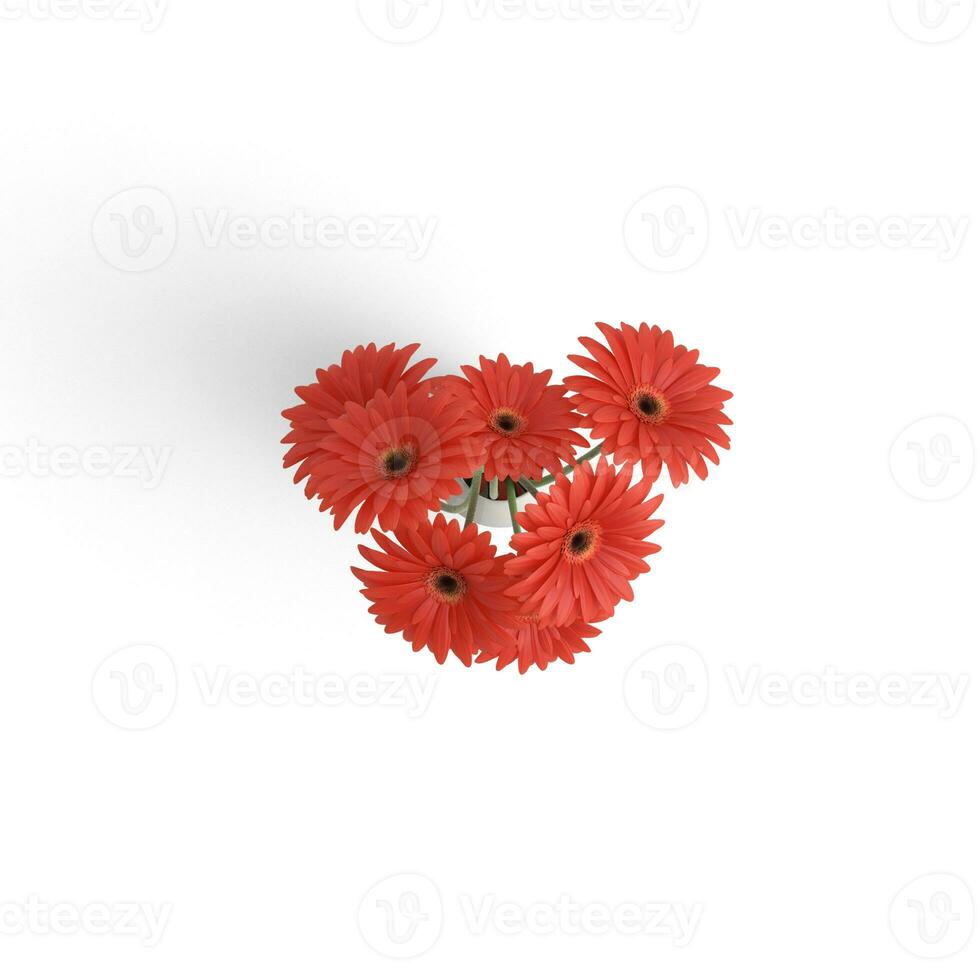 Gerbera Bouquet Red Natures Elegance Exploring Beautiful Flowers isolated on white background photo