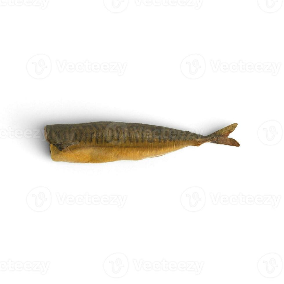 Fish Horizontally placed cutting side view photo on white background