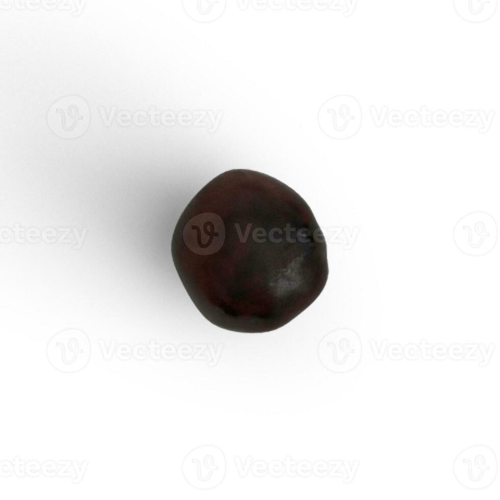 Chesnut single food item on white background photo from back view