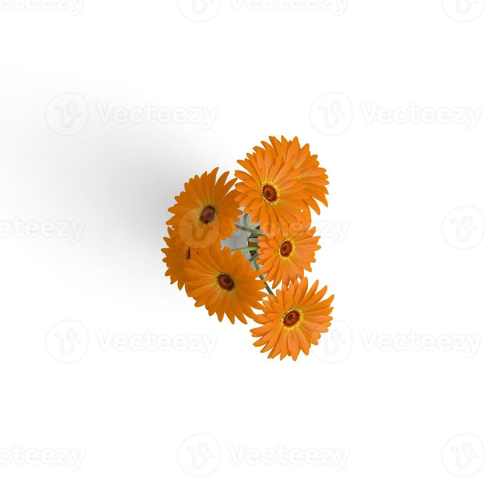 Gerbera Bouquet Orange Floral Extravaganza Mesmerizing Flower Leaf Combinations isolated on white background photo