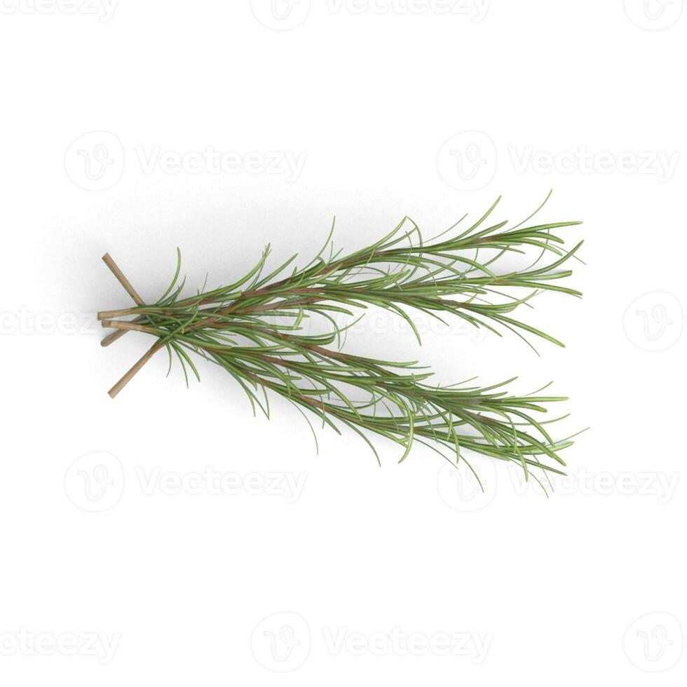 Herb Leaf Lore Unfolding the Beauty of Nature isolated on white background photo
