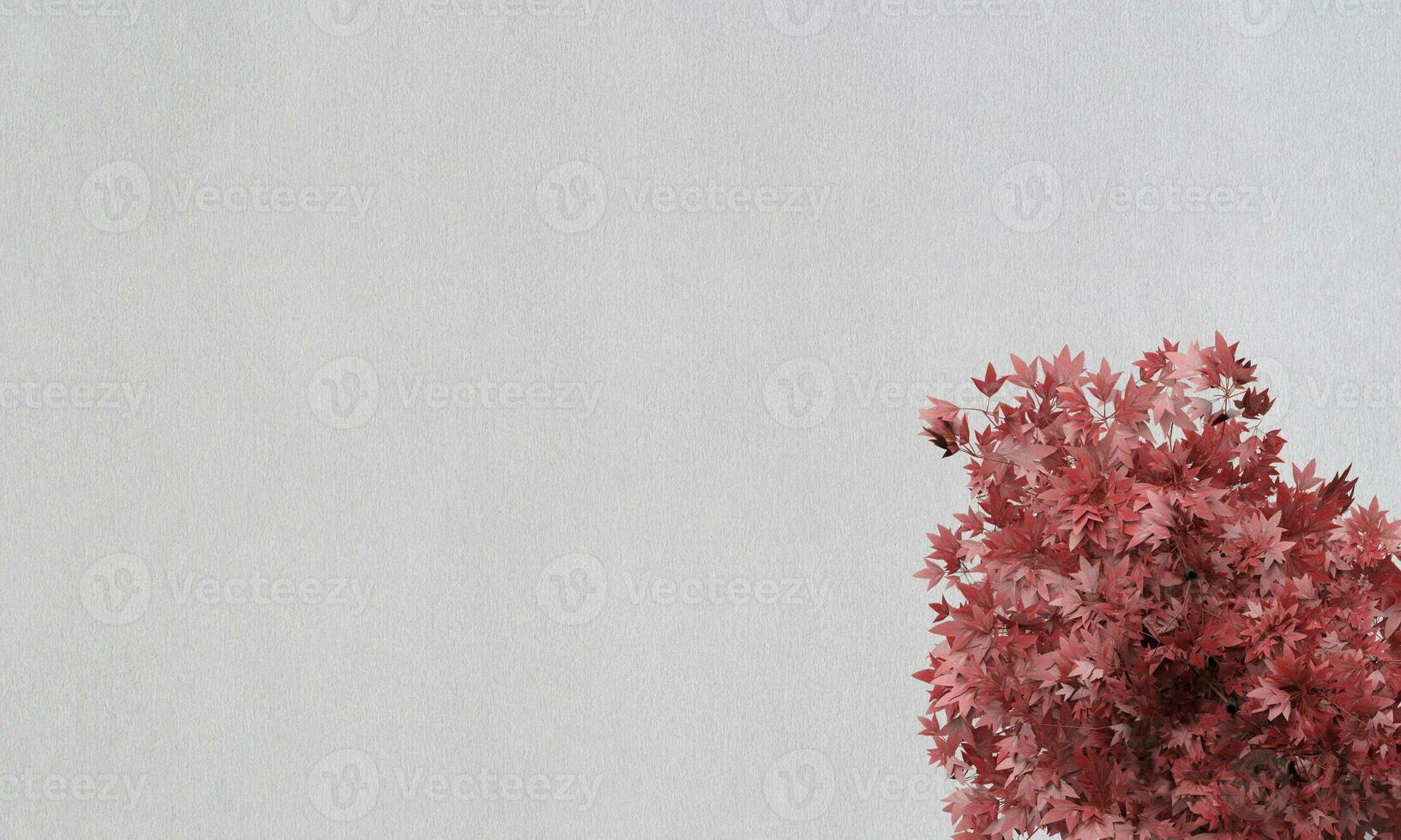 Larch Luxury Background of white paper Grain photo