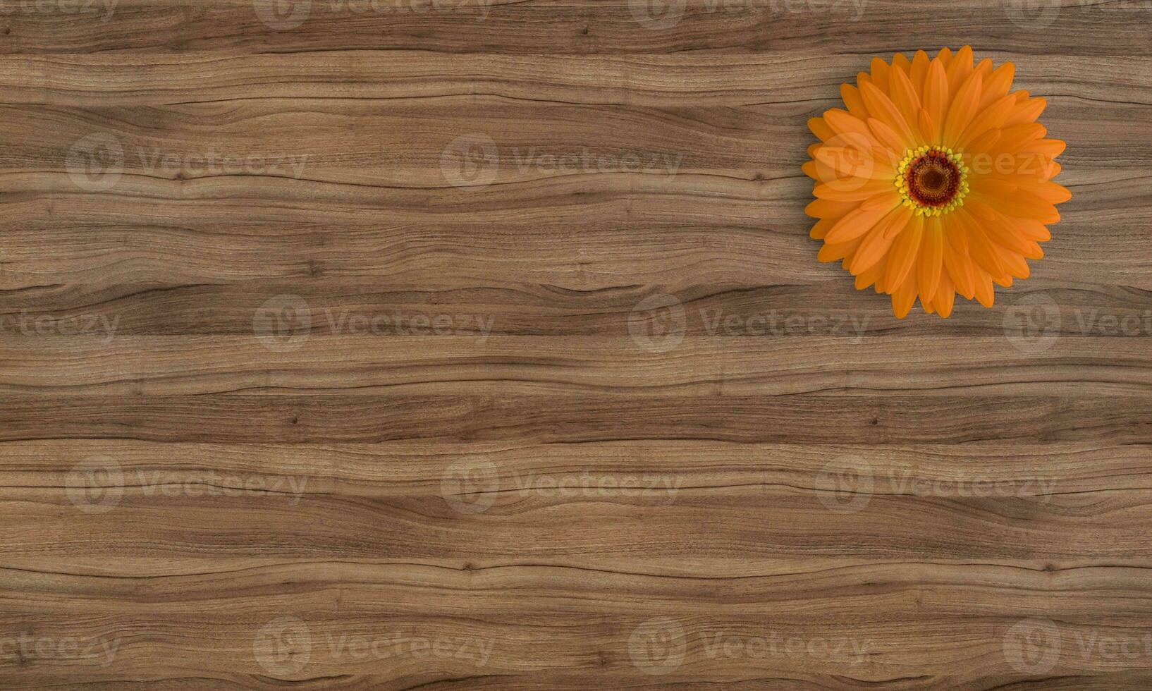 Rosewood Reverie Wood Texture Backdrop photo