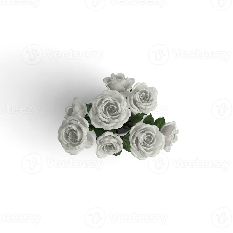 White Rose Bouquet group of some sweet flowers for graphical uses photo