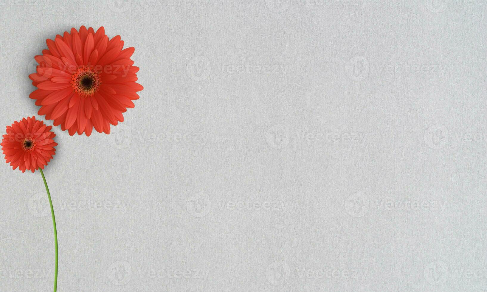 Flowers and empty white paper mockup wallpaper background photo