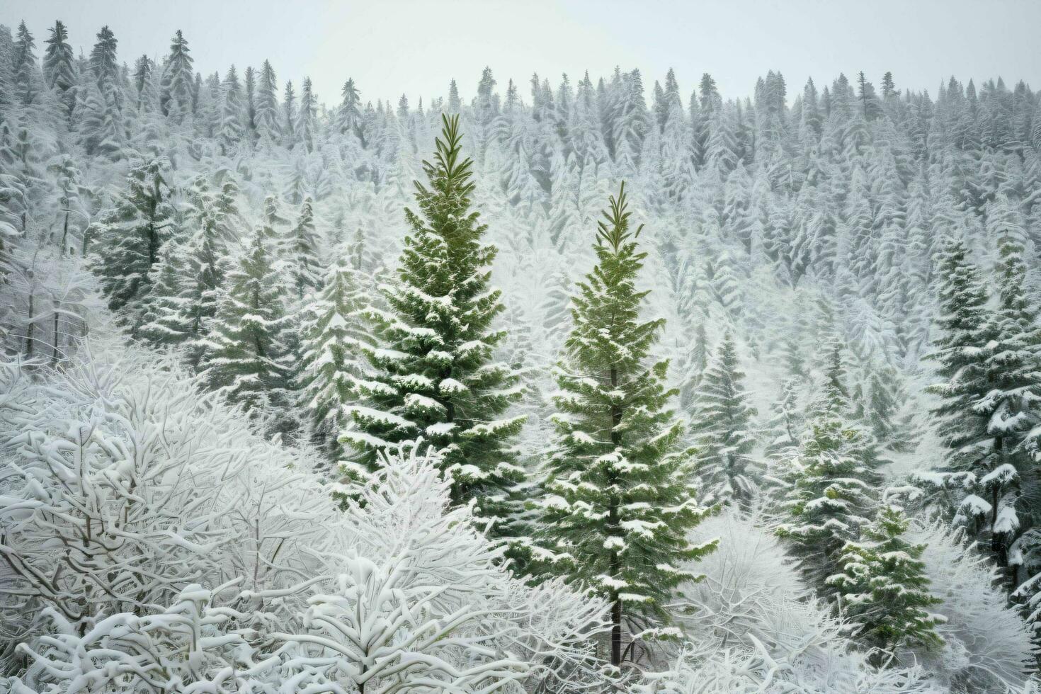 ai generado nieve cubierto bosque foto