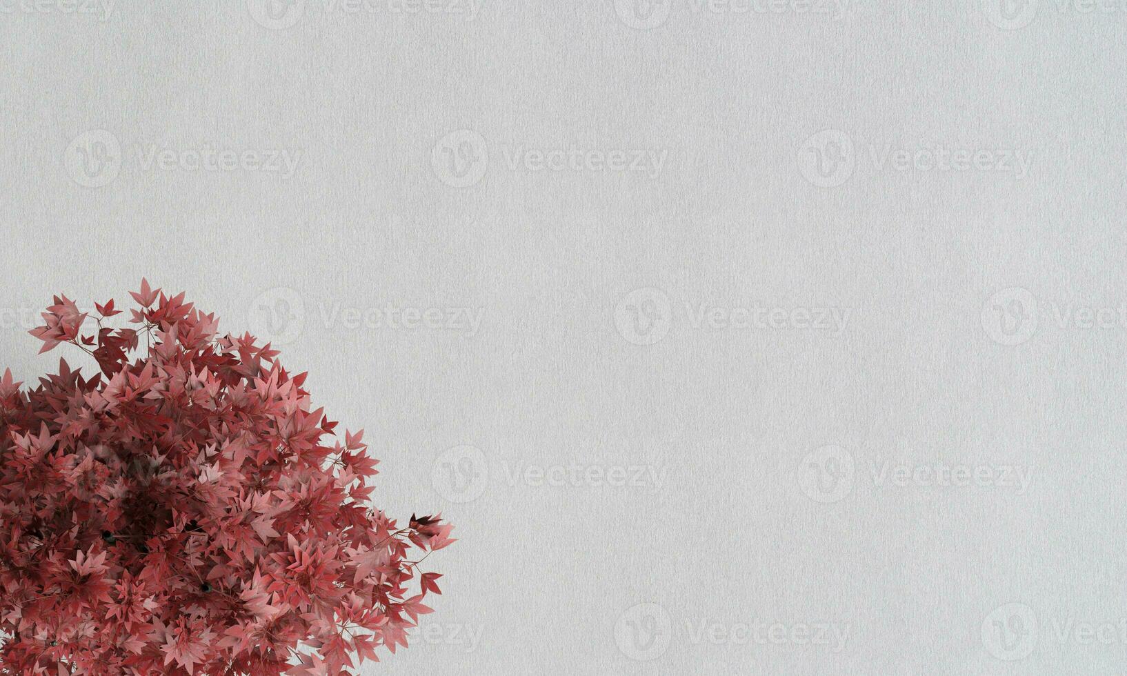Acacia Aura white paper Texture Wallpaper photo